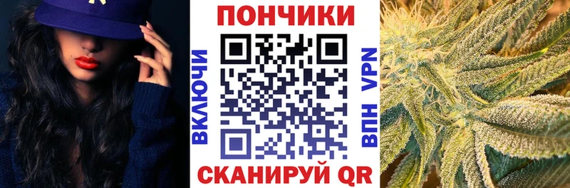 Где купить наркотики Отрадное МЕТАМФЕТАМИН  APVP  Псилоцибиновые грибы  ОМГ ОМГ ссылки  Cocaine  ГАШИШ 