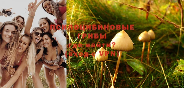 молекула духа Абдулино