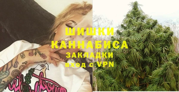 стафф Алзамай
