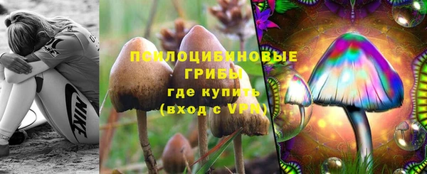 прущий лед Няндома