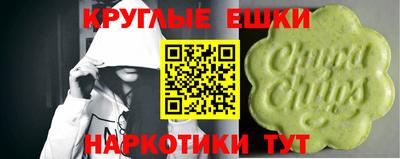 соль ск Сланцы
